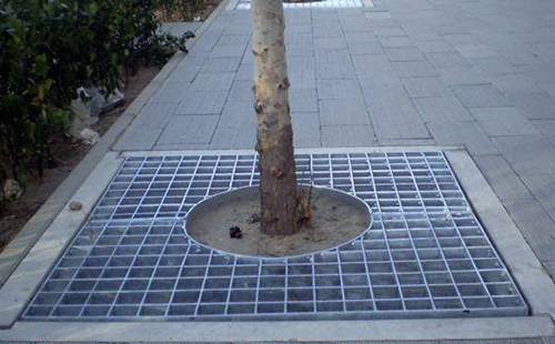 樹(shù)池蓋板案例