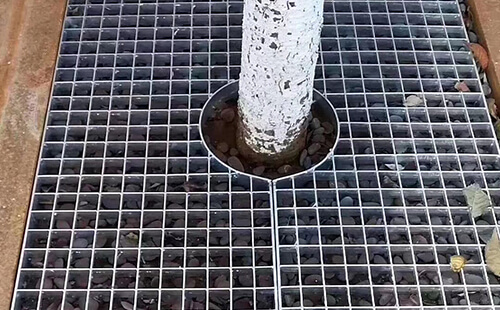 樹(shù)池蓋板案例